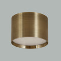 Bright Beauty Brass LED Ceiling Light