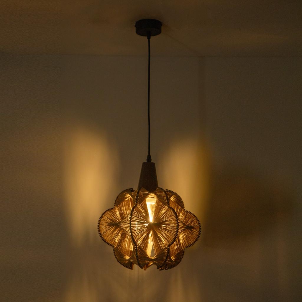 Shop Catch Up Pendant Light online