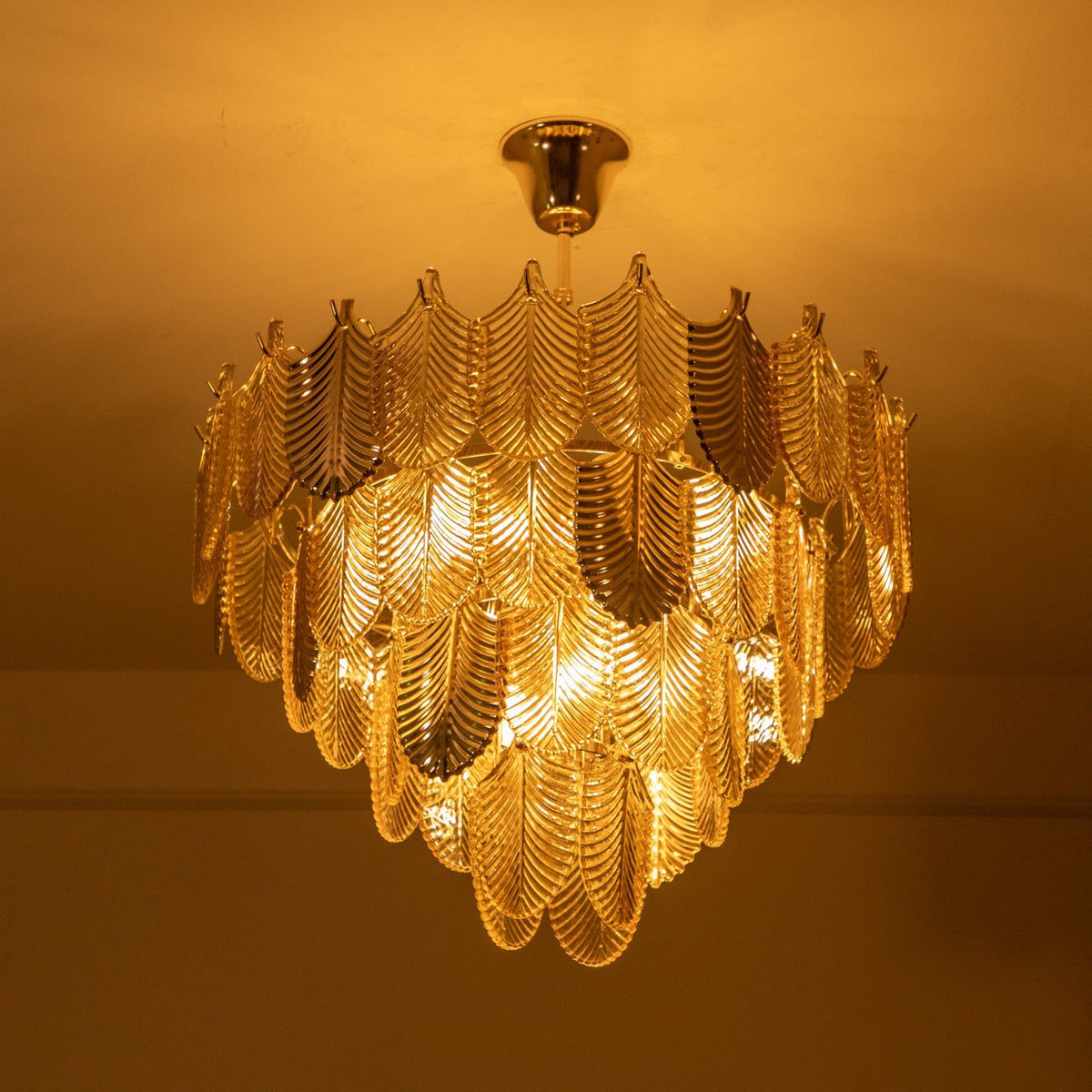 Shop Cherish 600mm Chandelier Bangalore