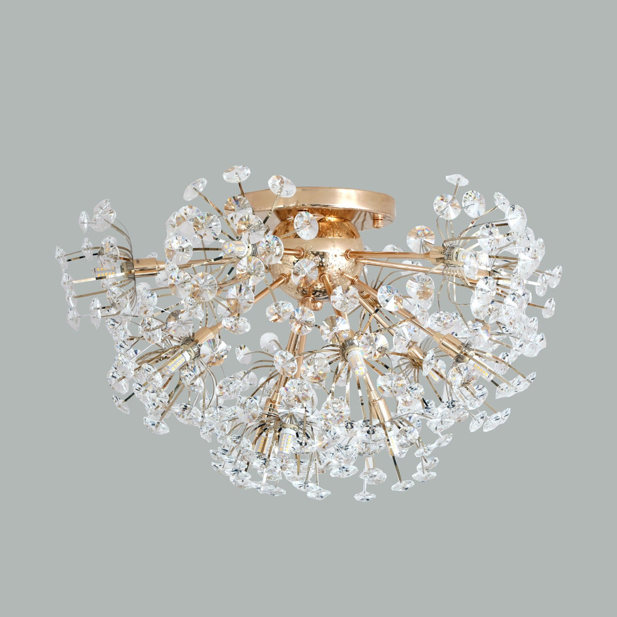 Shop Day Dreaming Ceiling LED Chandelier Ceiling Fixed