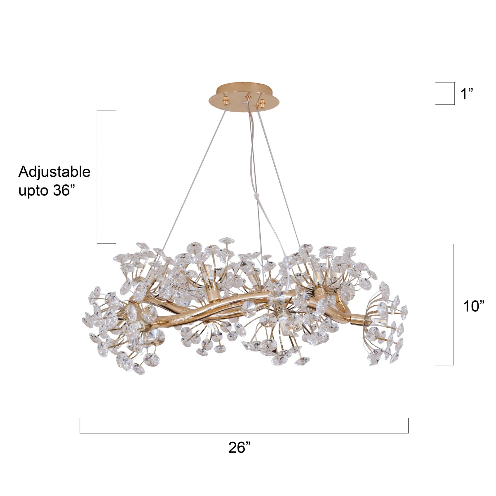 Day Dreaming Round LED Chandelier for Living room Light & Living