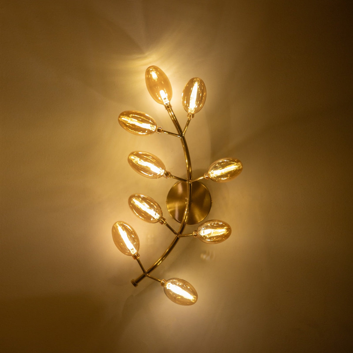 Shop Fern Amber LED Wall Light Delhi