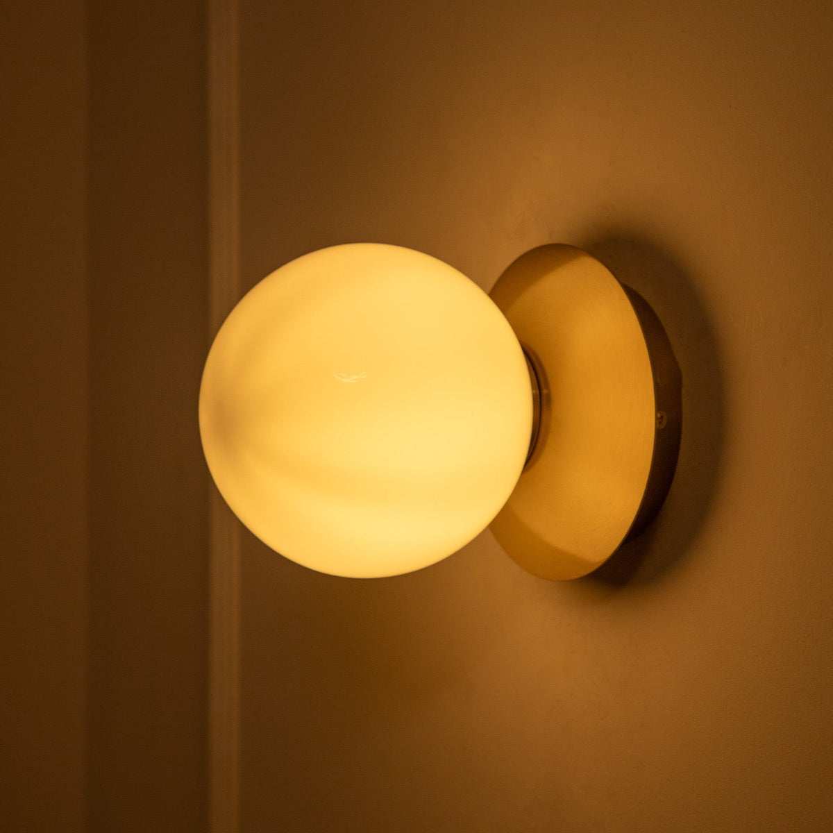 Shop Goldfish Wall Light Sconce