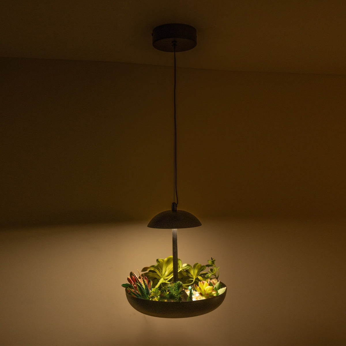 Shop Hanging Garden LED Pendant Light Bangalore