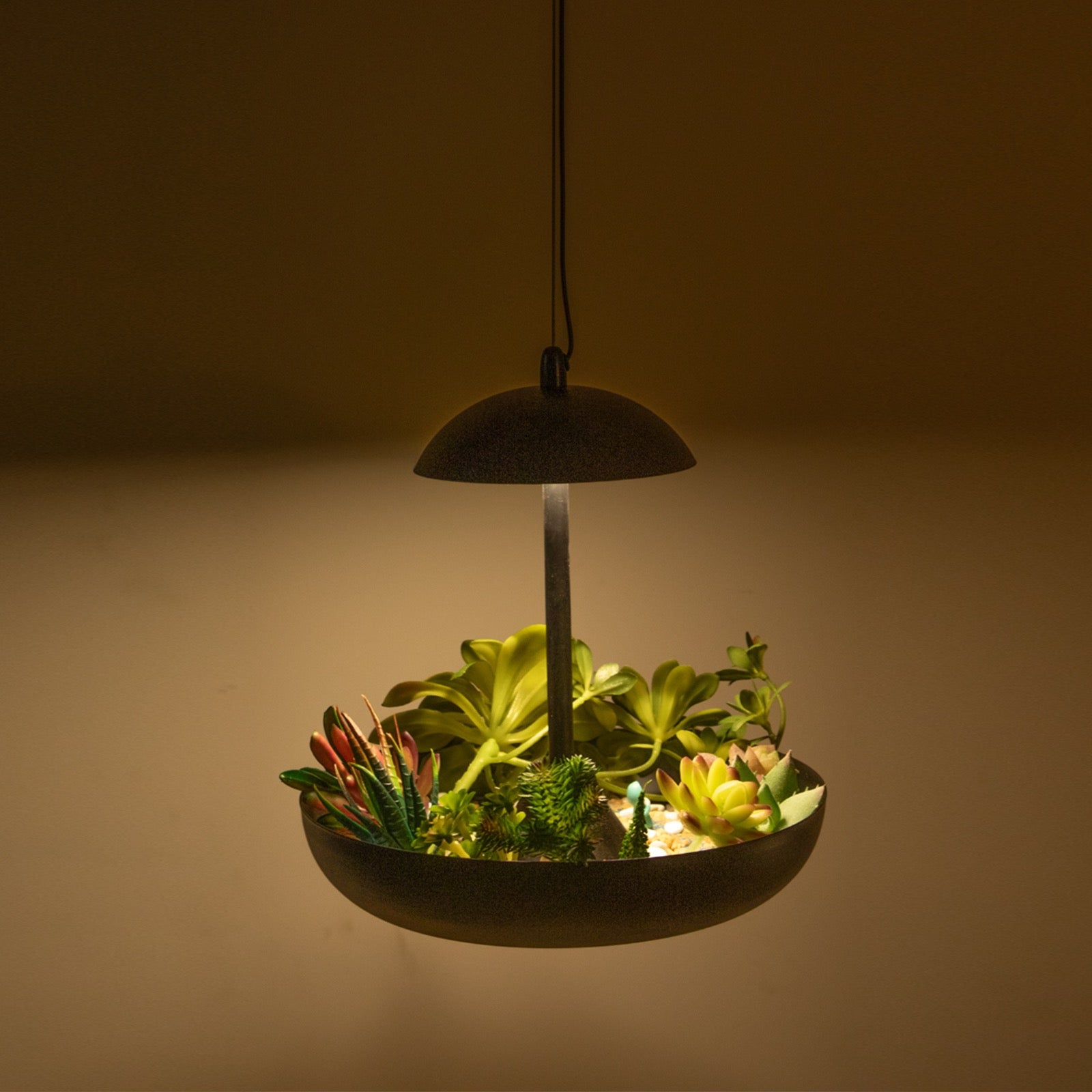 Buy Hanging Garden LED Pendant Light Corner