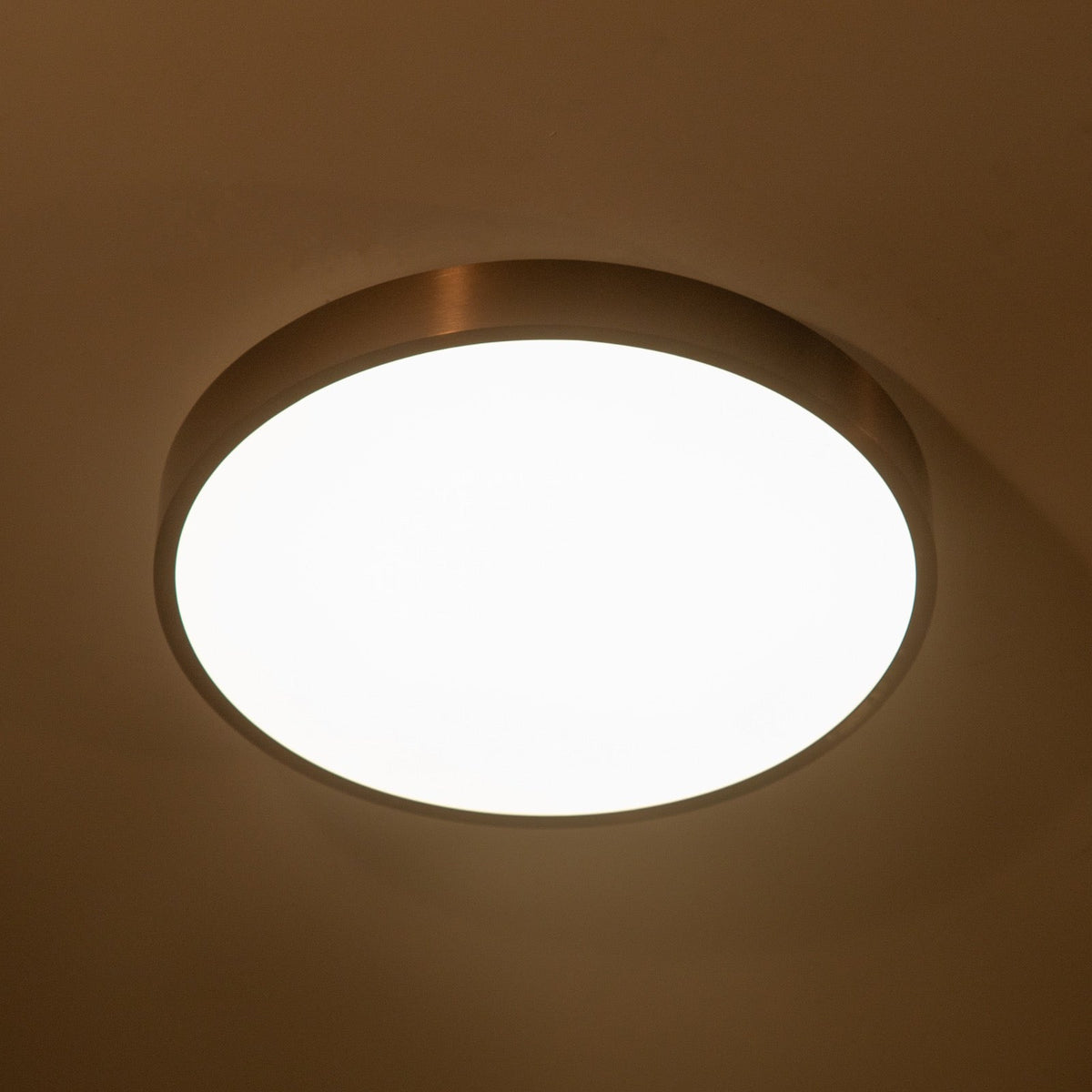 Shop Harmony Round (3 Colour) LED Chandelier-Ceiling Light online