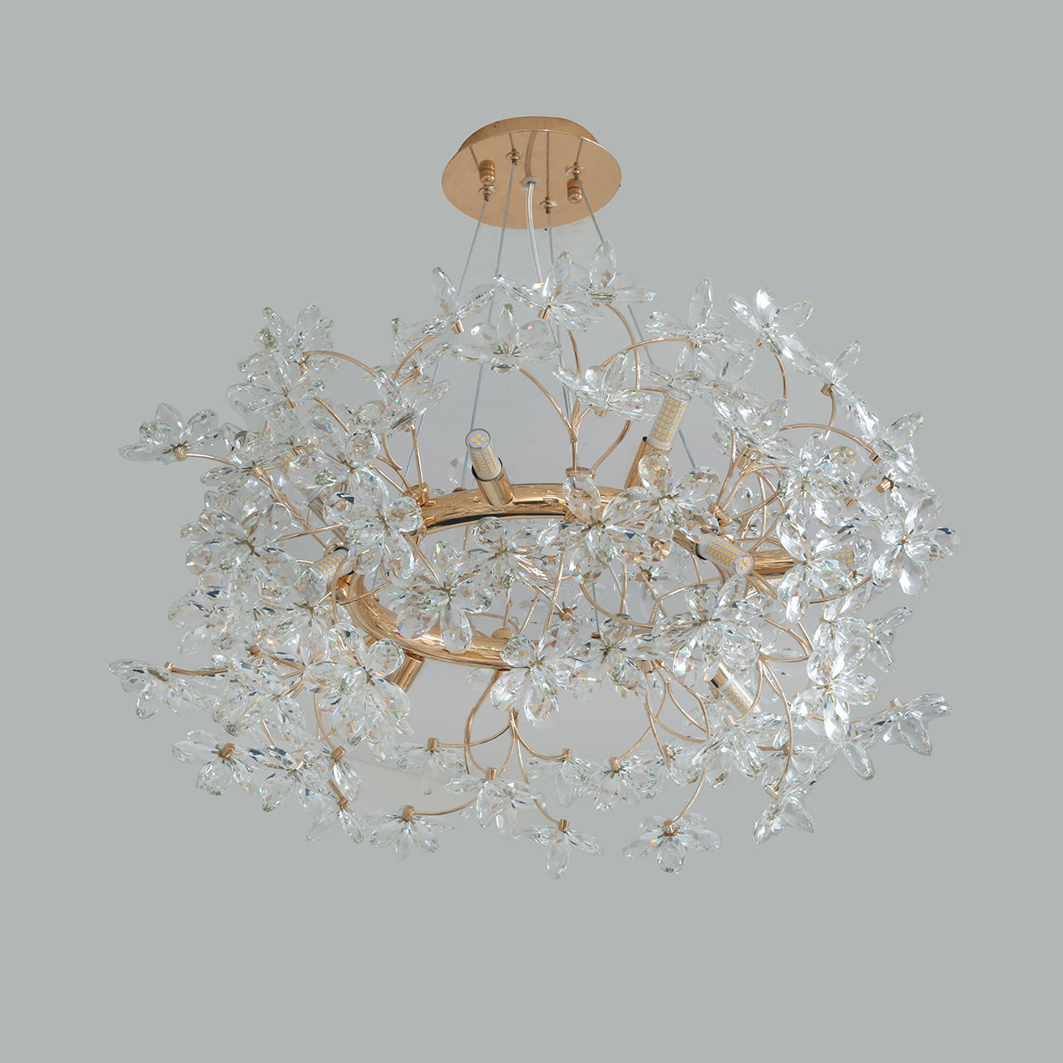 Shop Head Turner Crystal Round LED Chandelier Living Room