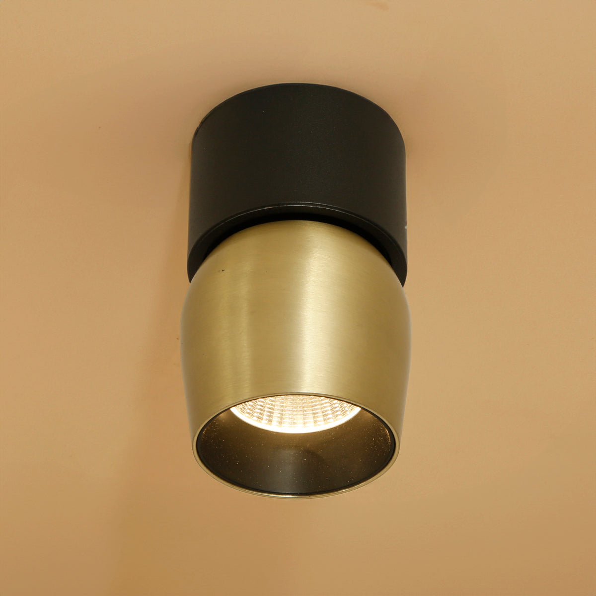 Shop Isha Tiltable Brass LED Spot Light Interior Lights