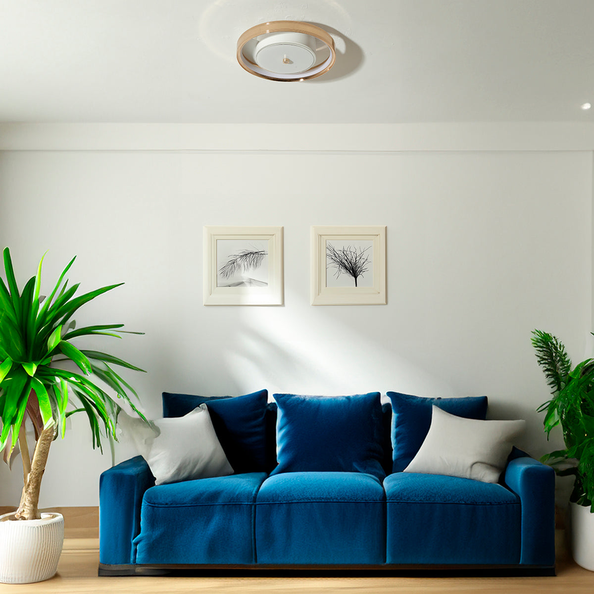 Shop Life Goal Small (3 Colour) LED Chandelier Interior Lights