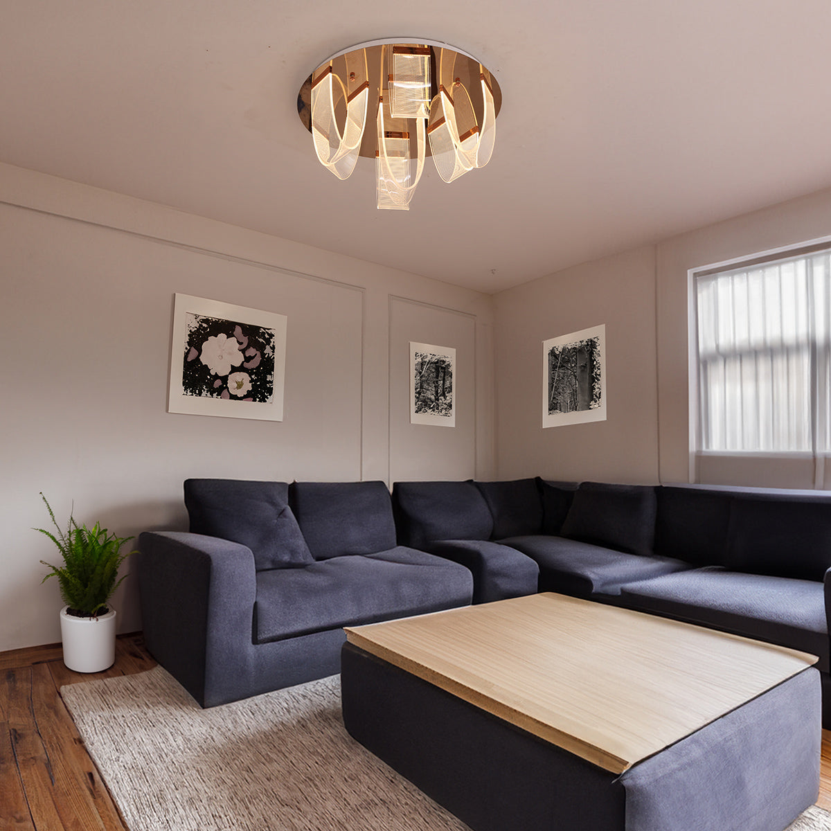 Shop Looper (3 Colour) LED Chandelier Interior Lights