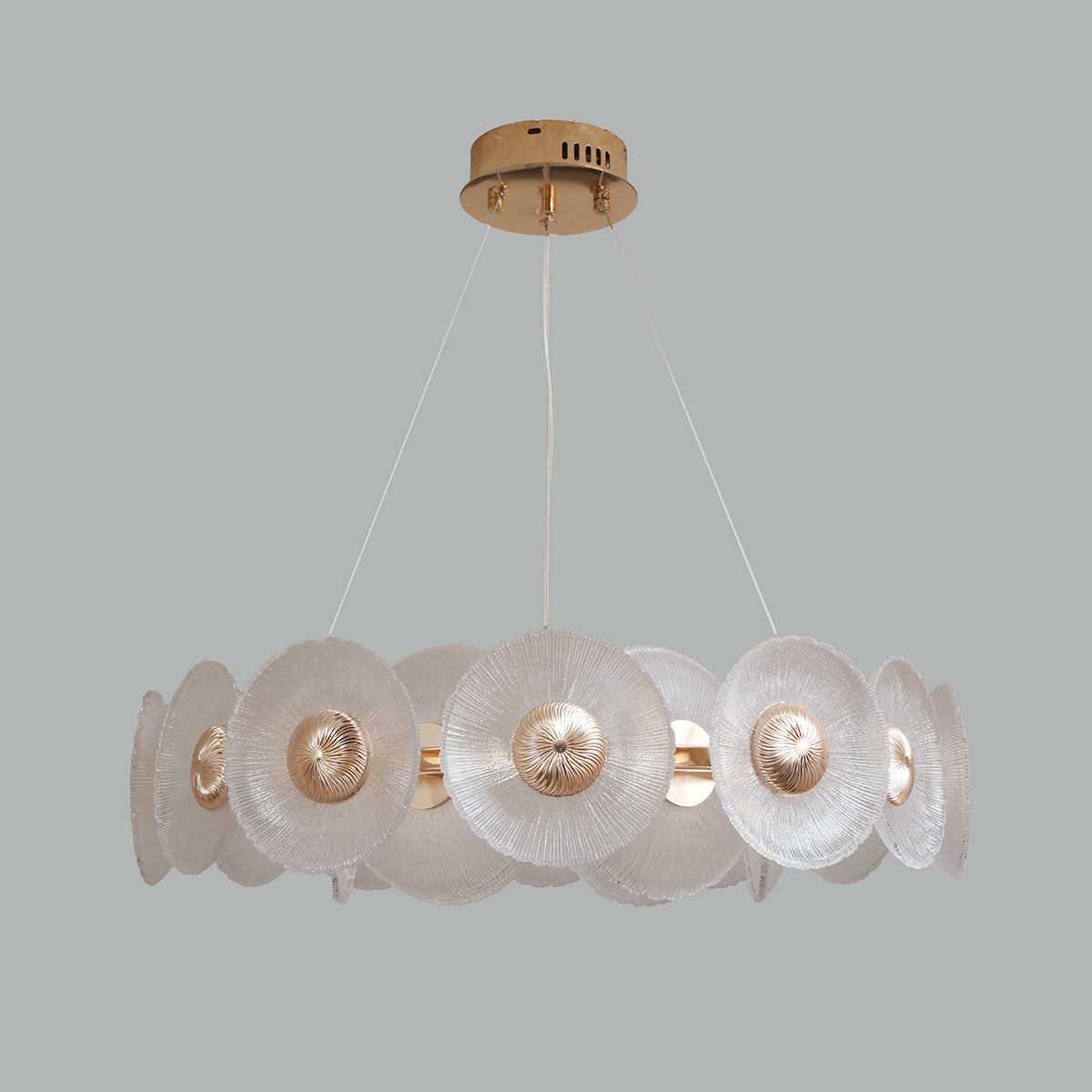 Shop Northern Lights (3 Colour ) LED Chandelier Bangalore