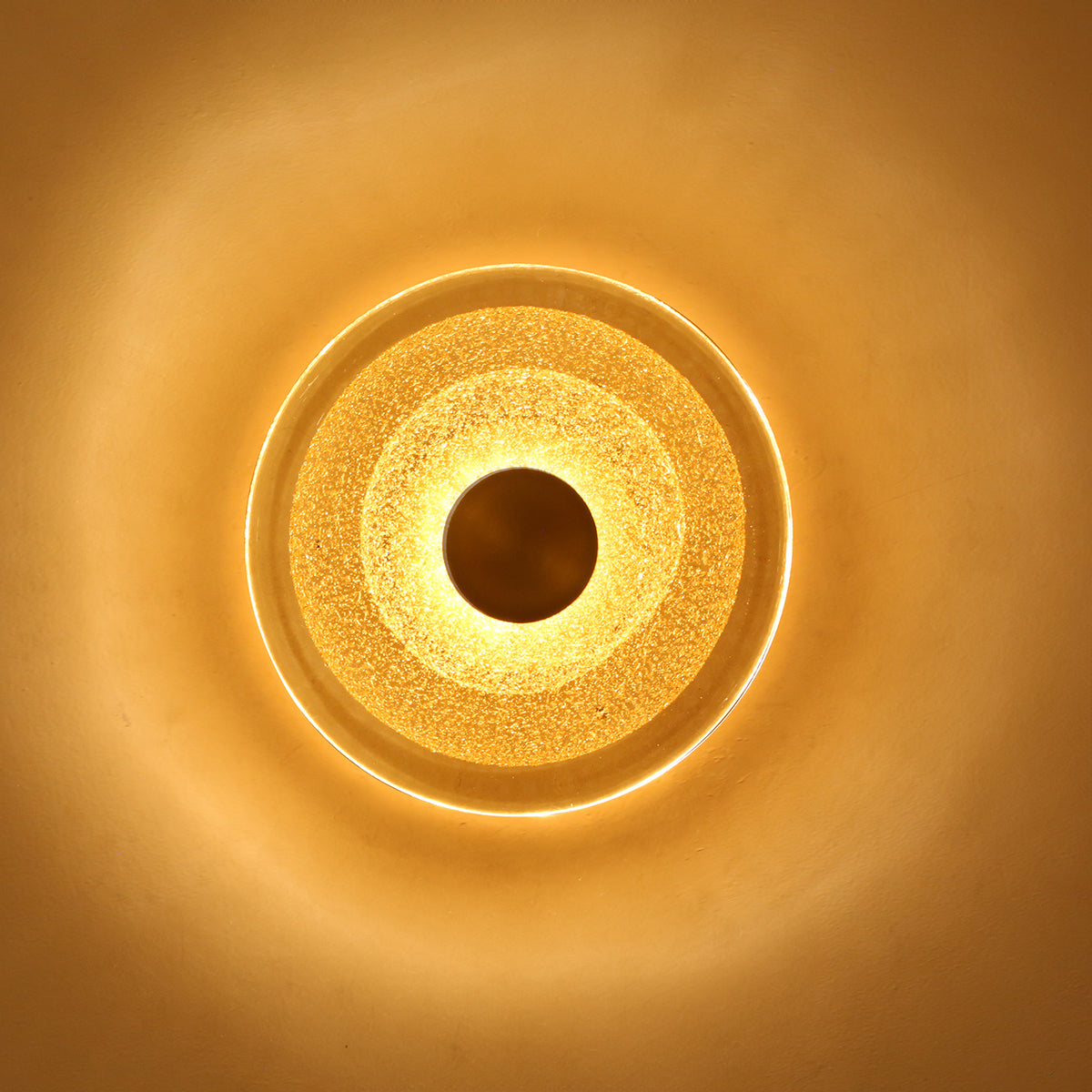 Shop Ocean Life LED Wall Light Online