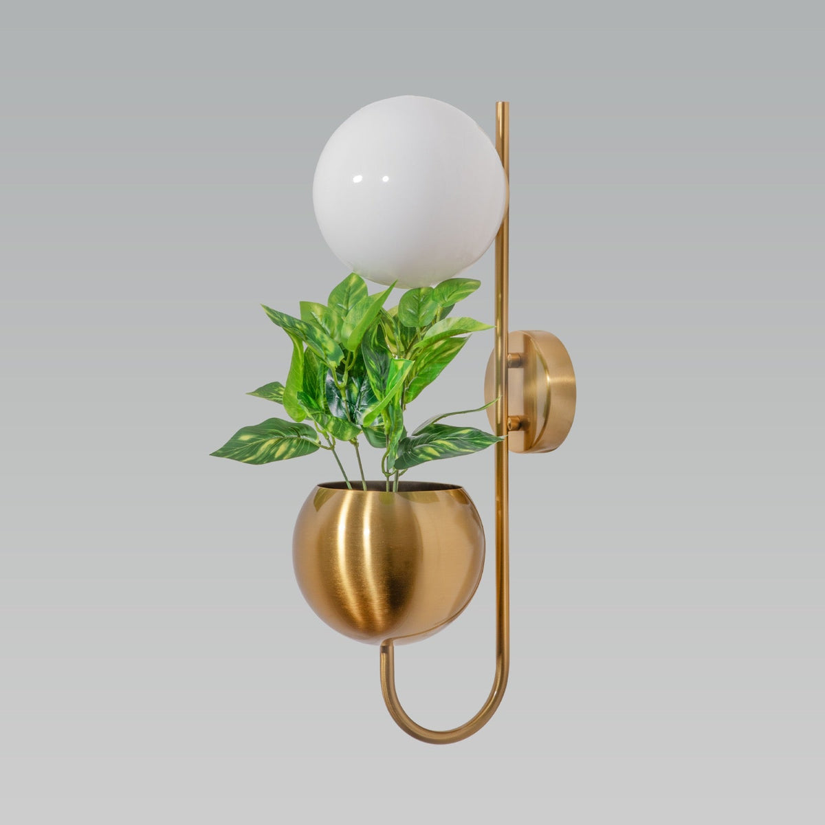 Shop Planter Wall Light Bangalore
