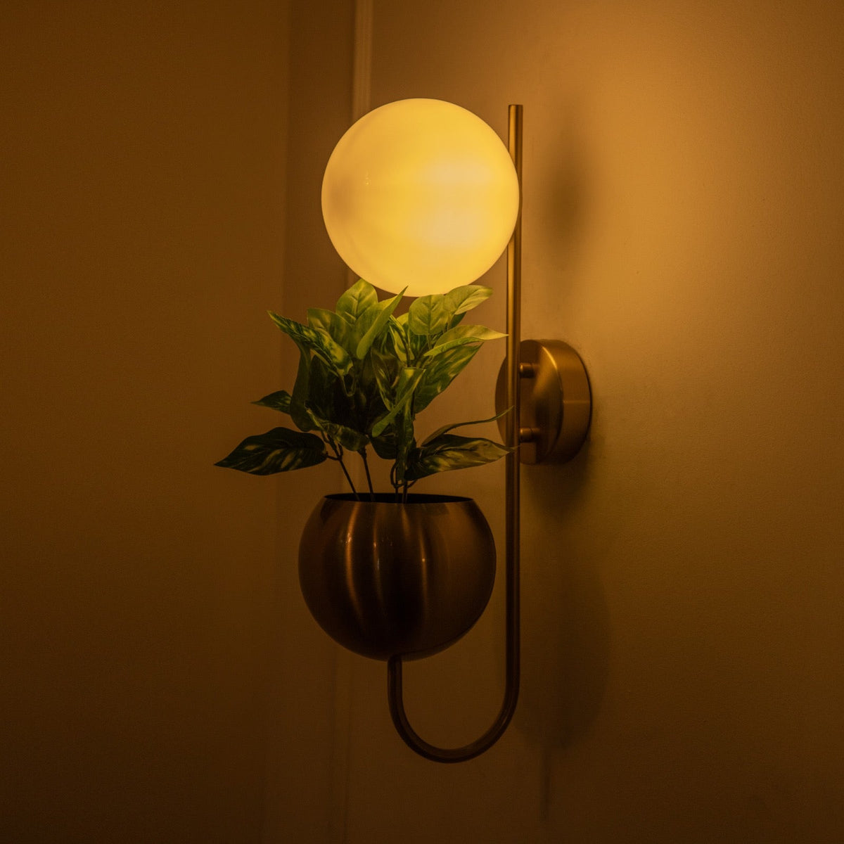 Shop Planter Wall Light best lighting Showroom Bangalore
