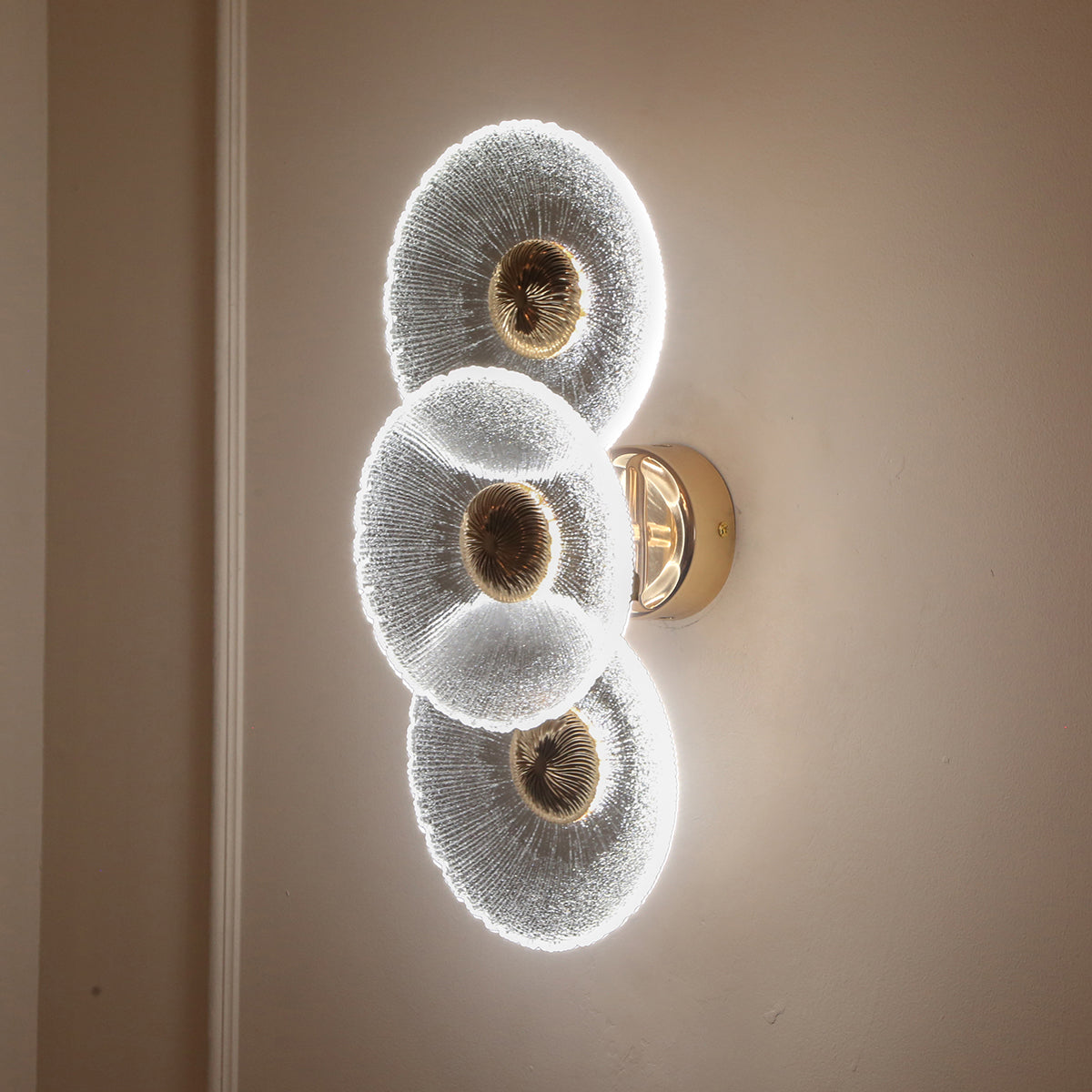 Shop Show off 3 Glass (3 Colour) LED Wall Light Living Room
