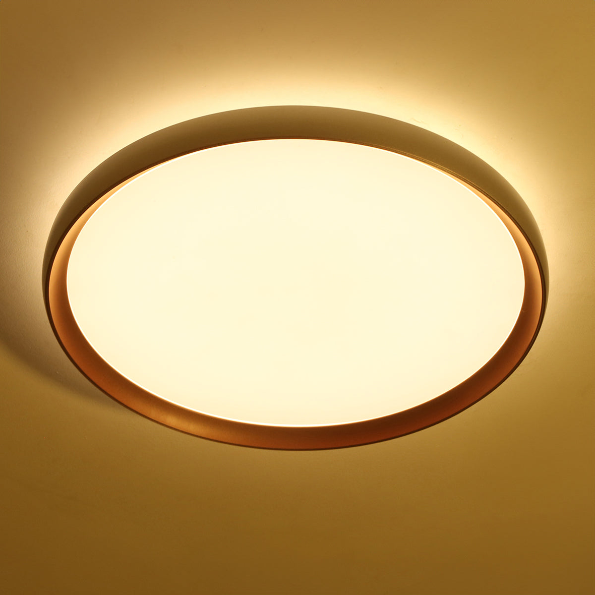 Shop Slim Line Medium (3 Colour) LED Chandelier Bangalore