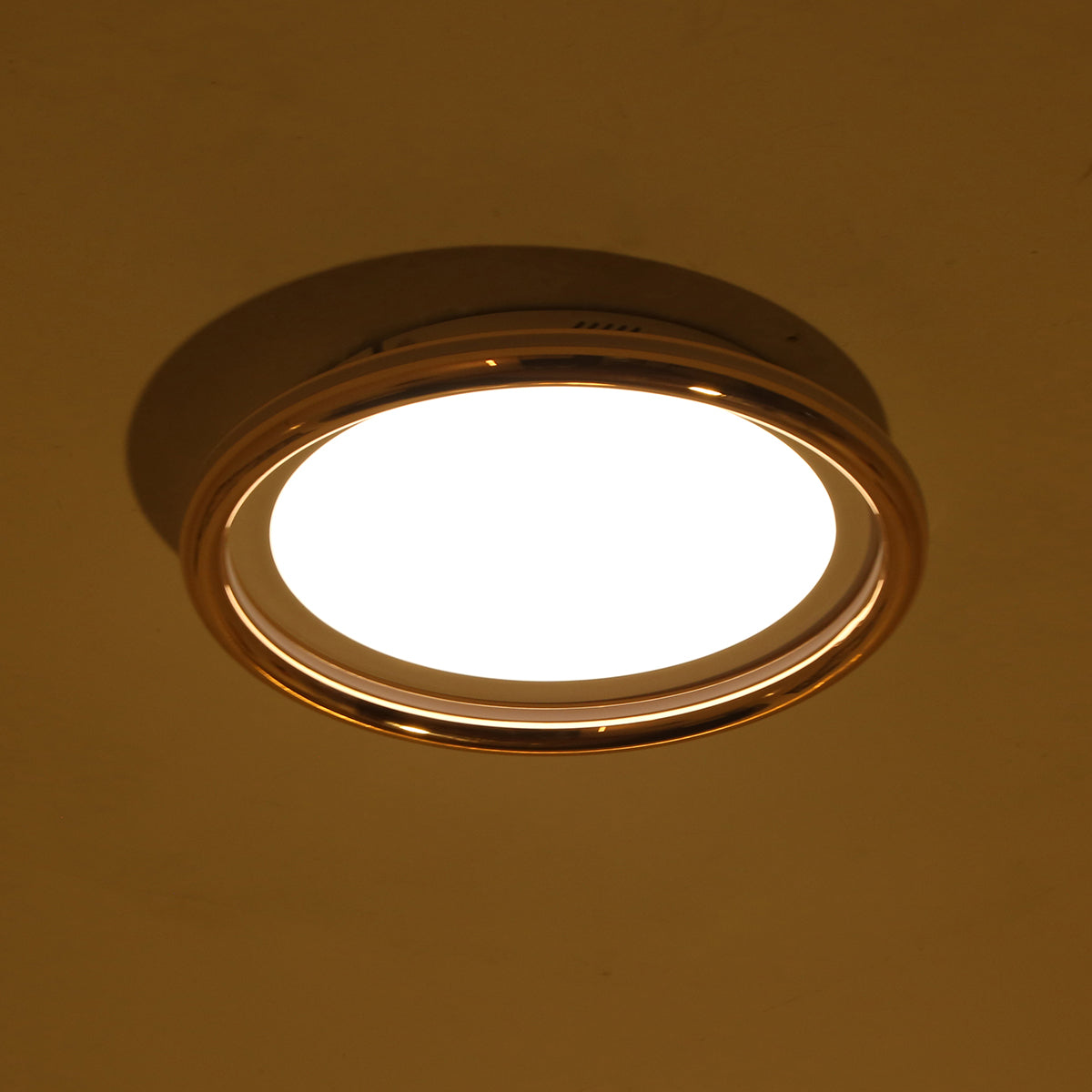 Shop Soni Smart 300mm (2 Colour) LED Chandelier Dining Room