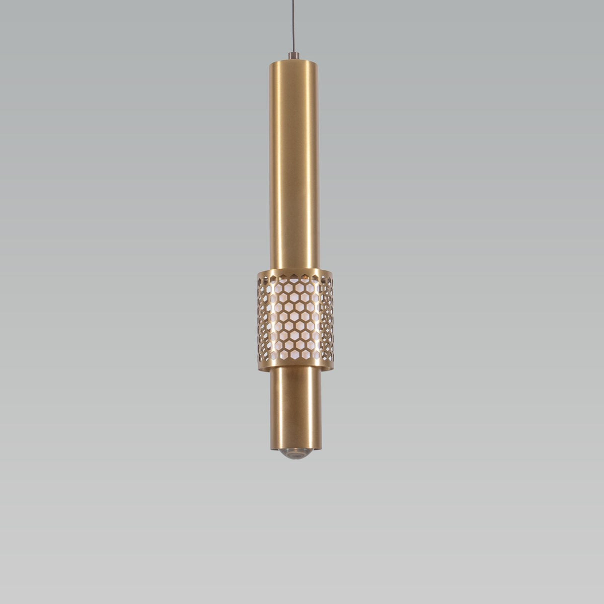 Shop Style Union Matt Gold LED Pendant Light online