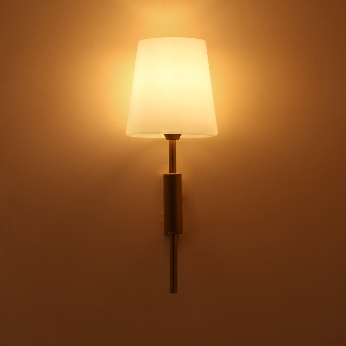 Shop Timeless Beauty Wall Light Living Room