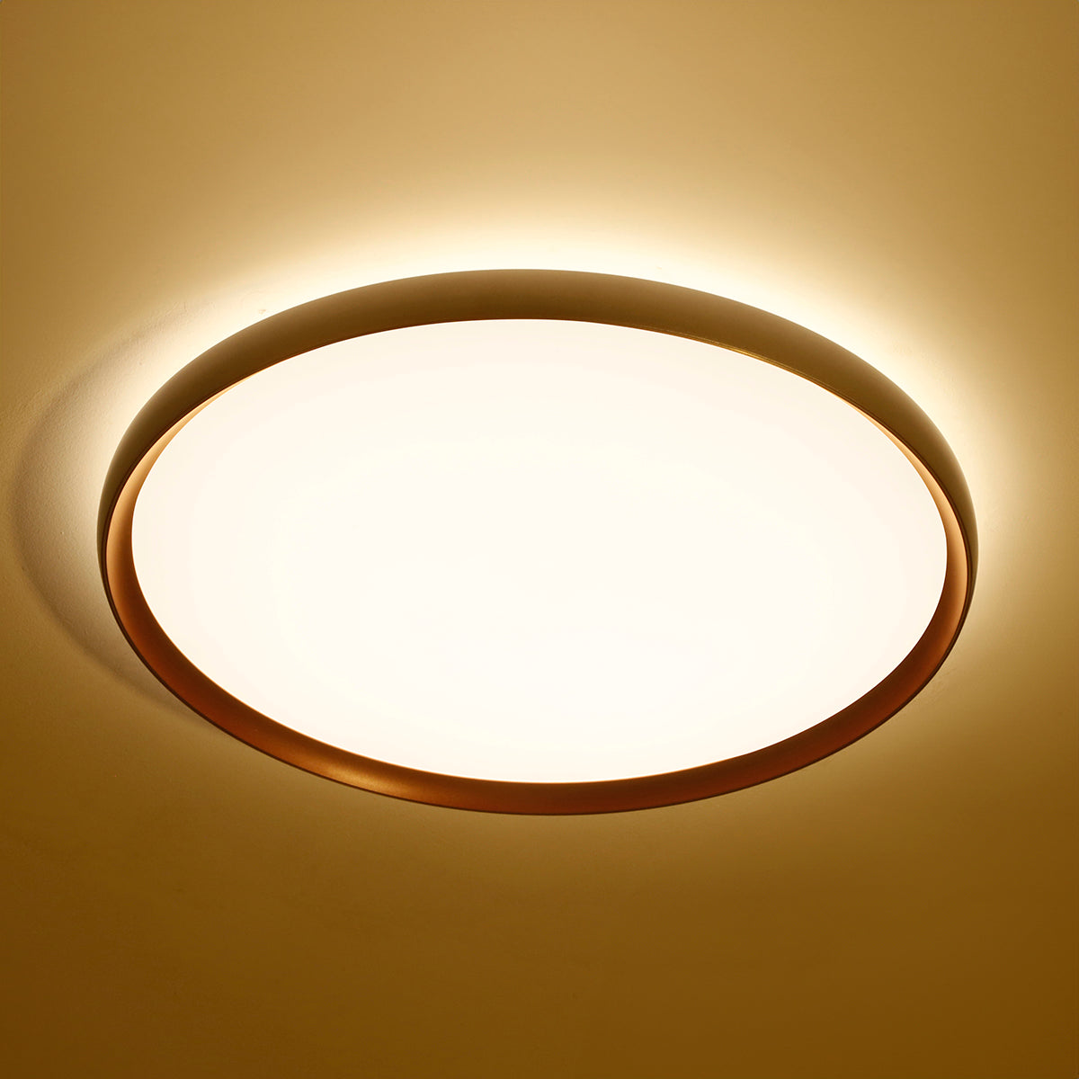 Buy Slim Line Large (3 Colour) LED Chandelier Decorative Lights