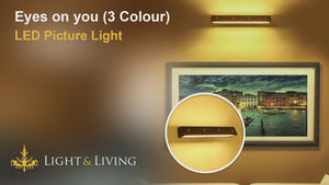 Eyes on you (3 Colour) LED Picture Light Video