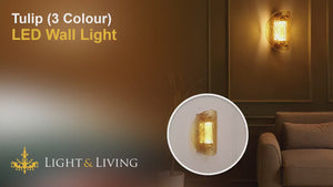 Tulip (3 Colour) LED Wall Light Video