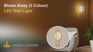 Blown Away (3 Colour) LED Wall Light Video