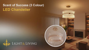 Scent of Success (3 Colour) LED Chandelier Video