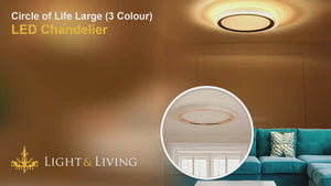 Circle of Life Large (3 Colour) LED Chandelier Video