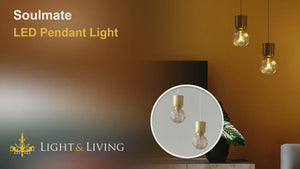 Soulmate LED Pendant Light Video