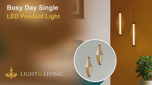 Busy Day Single LED Pendant Light Video