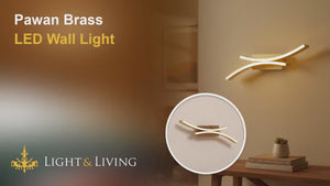 Pawan Brass LED Wall Light Video