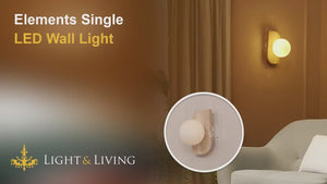 Elements Single LED Wall Light Video