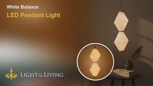 White Balance LED Pendant Light Video