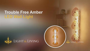 Buy Trouble Free Amber LED Wall Light video