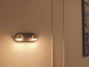 Manta 2 Lights LED Picture Light Video
