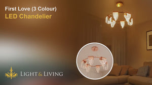 First Love (3 Colour) LED Chandelier Video