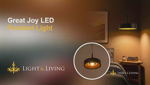 Buy Great Joy LED Pendant Light video