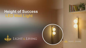 Buy Height of Success LED Wall Light video