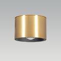 Alpen Brass LED Surface Light