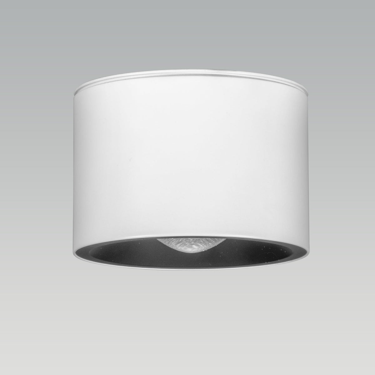 Alpen White LED Surface Light