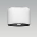 Alpen White LED Surface Light