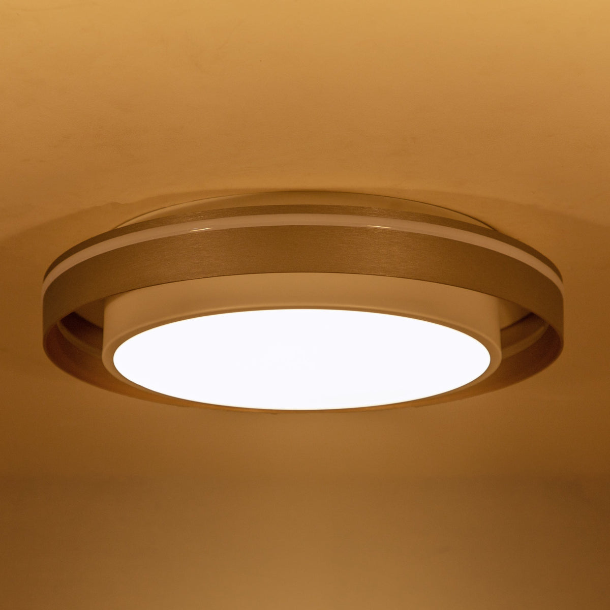 Buy All in One Smart LED Chandelier Living