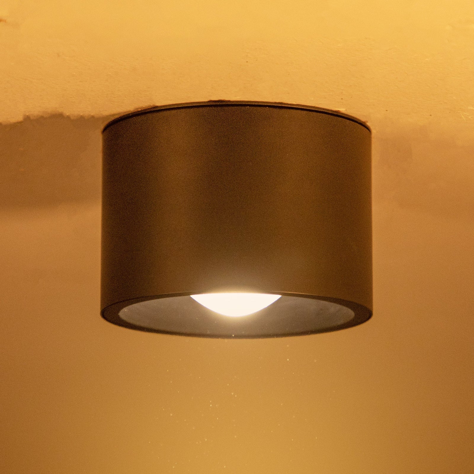 Alpen Black LED Surface Light online