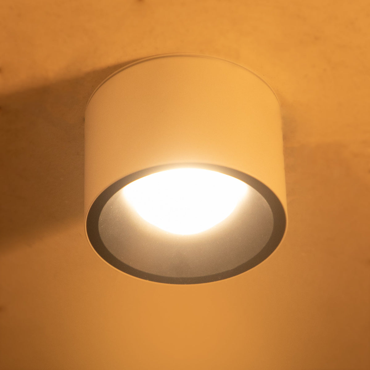 Alpen White LED Surface Light