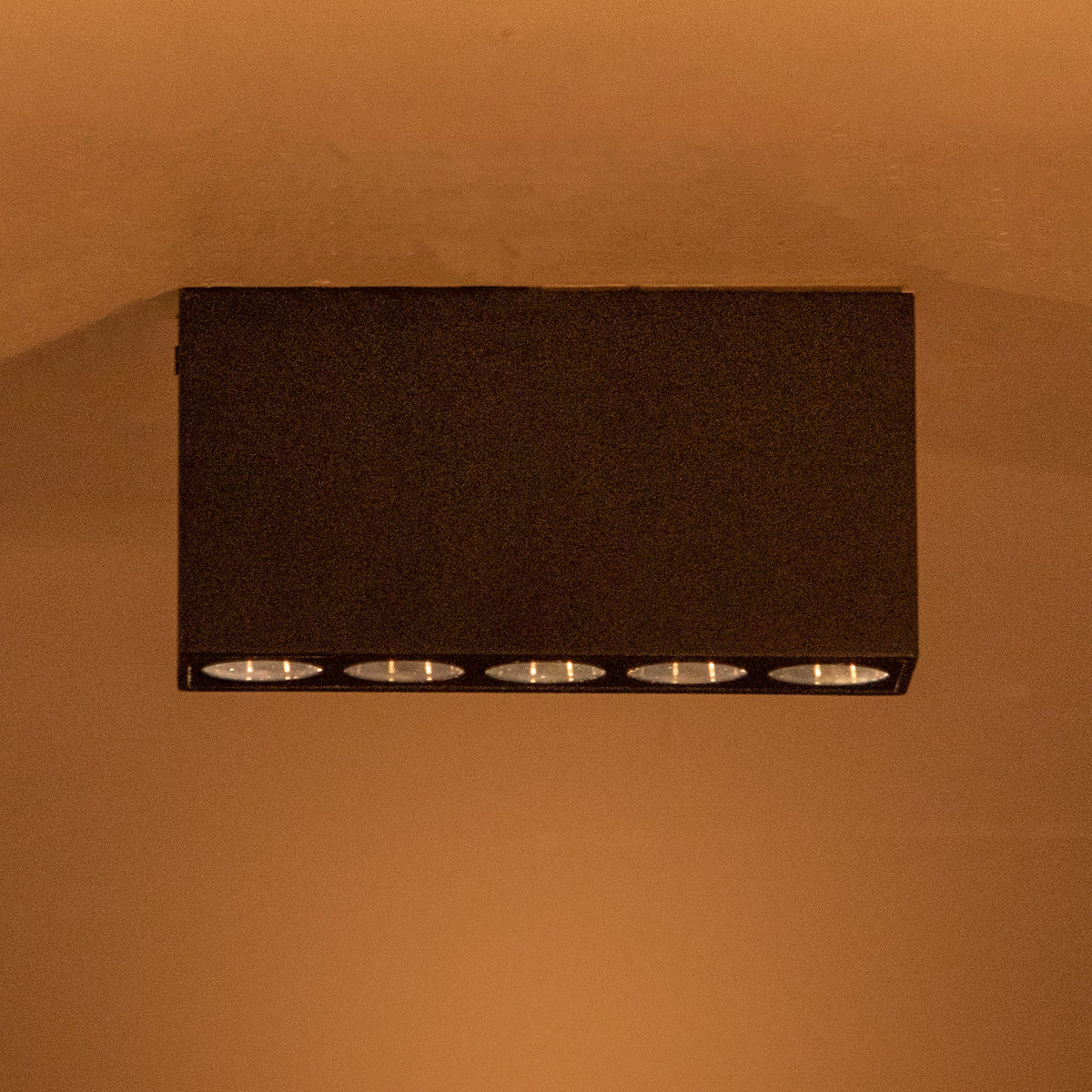 Bravo Black LED Ceiling Light