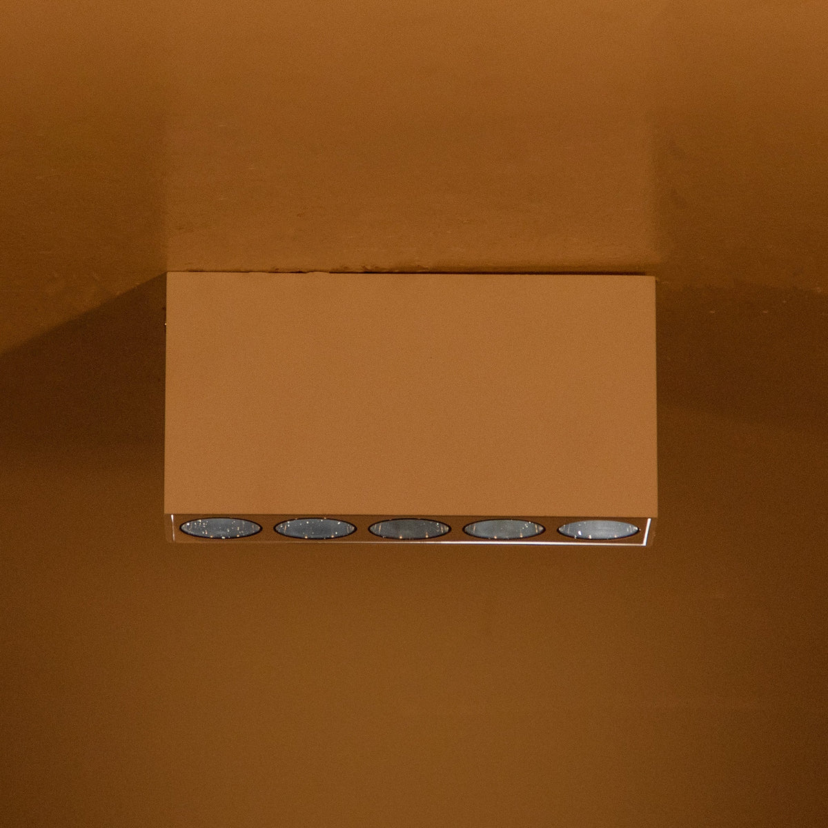 Buy Bravo White LED Ceiling Light online