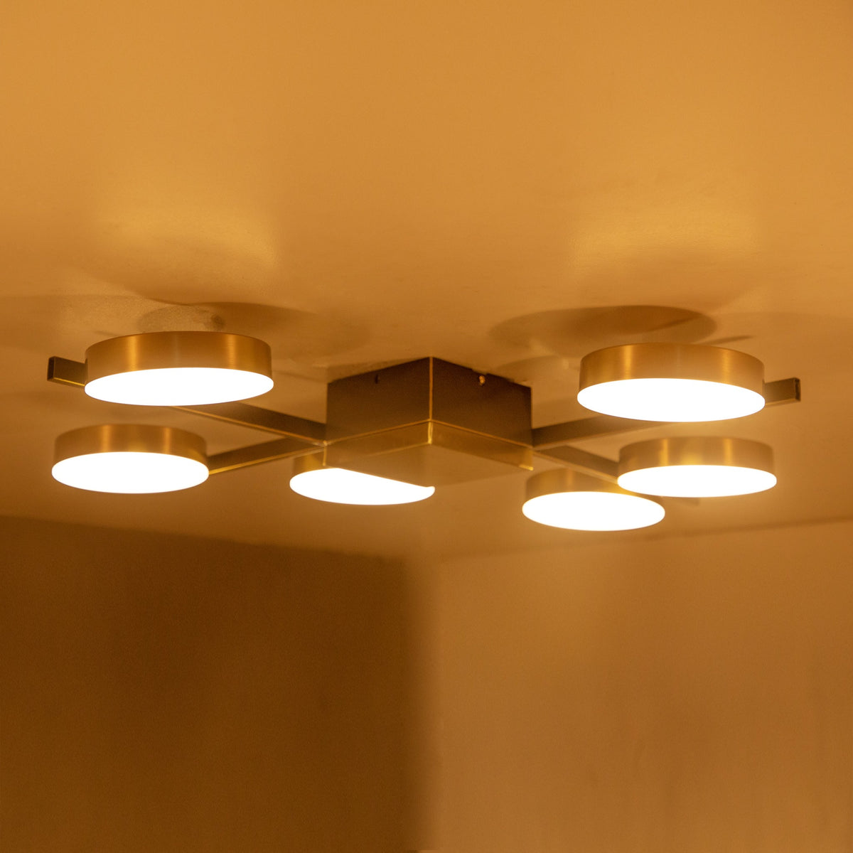 Buy Famous-6 LED Chandelier online