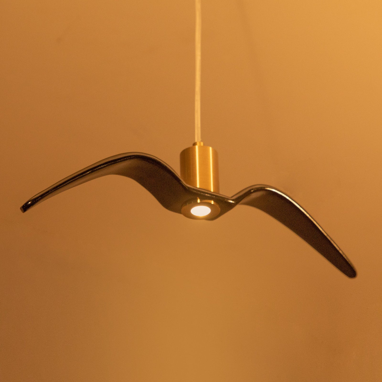 Shop Fly Away Black LED Pendant Light online
