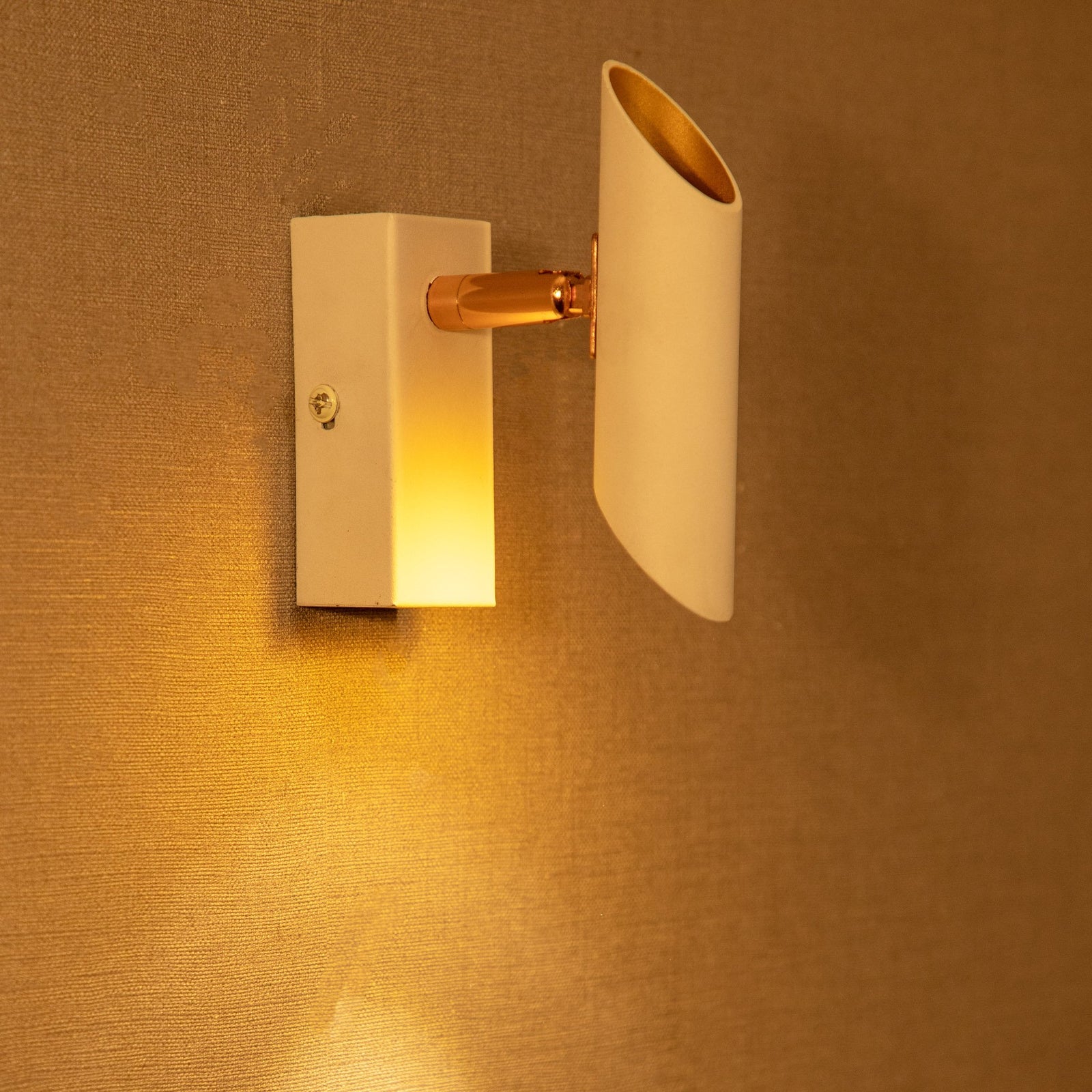 Shop Nebraska Single LED Picture Light online